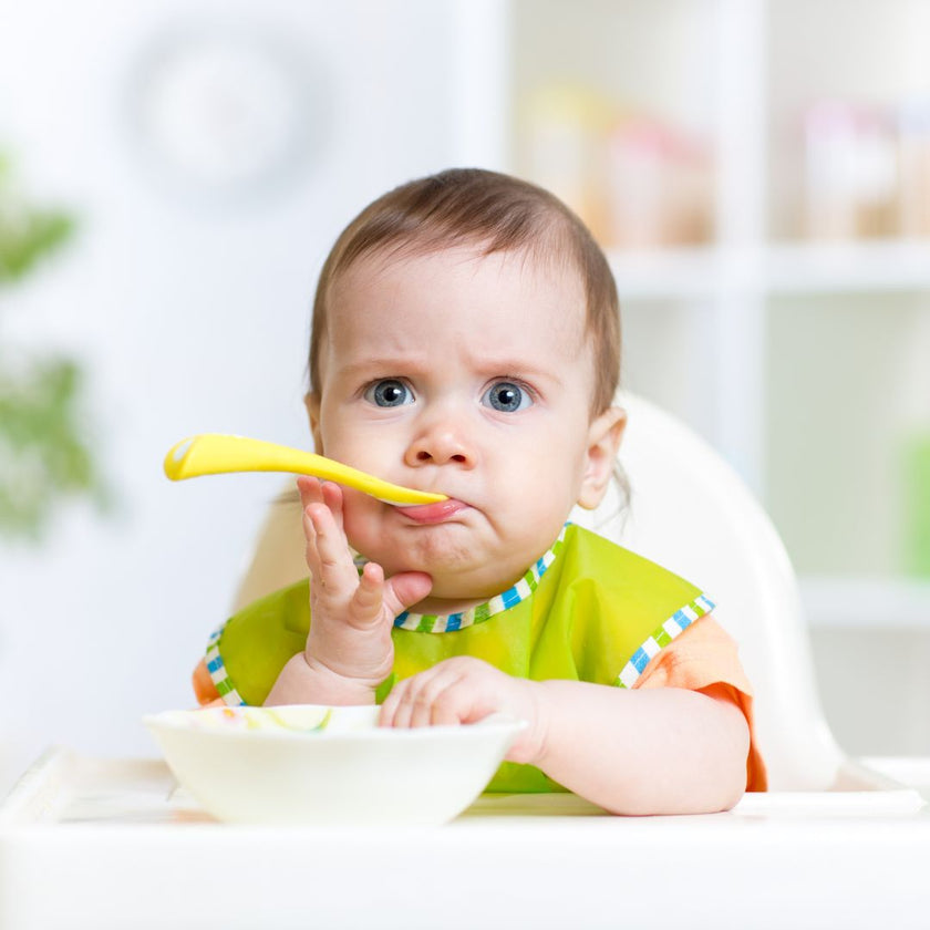 Pourquoi utiliser une assiette compartimentée pour votre enfant ? – Le  bambin